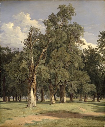 Iepenbomen in Prater door Ferdinand Georg Waldmuller